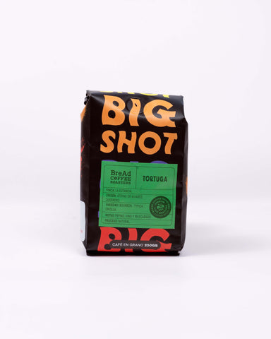 Big Shot - Tortuga